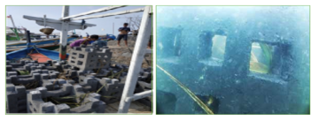 Program ALPHART (Artificial Fish Aspartement) di Perairan Pulau Panjang 