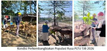 PROGRAM: PENANGKARAN RUSA TIMUR