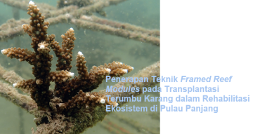 PROGRAM: PENERAPAN TEKNIK FRAMED REEF MODULES PADA TRANSPLANTASI TERUMBU KARANG DALAM REHABILITASI DI PULAU PANJANG